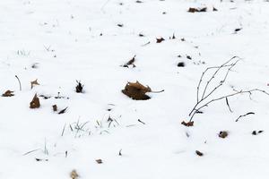 snödrivor på vintern foto