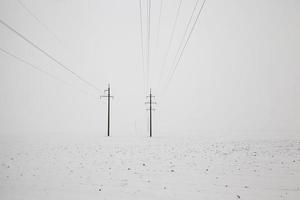 stolpar med elektriska ledningar foto