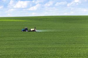 traktor på fältet foto