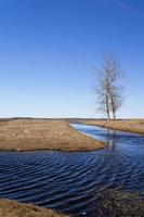 liten flod i fältet foto