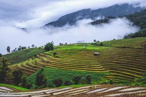 resor regnperiod landskap av ris terrasser på ban papongpieng chiangmai thailand foto