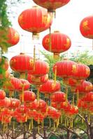 röd lykta i kinesiskt tempel foto