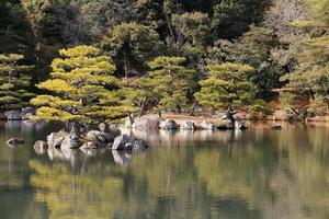 japansk trädgård vid berömda kinkakuji foto