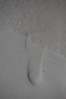 singel fotspår på sandstrand foto