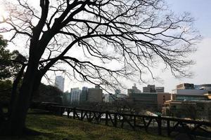 vidsträckt utsikt över staden Osaka foto