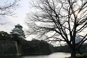 Osaka slott i Osaka, Japan foto
