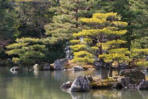 japansk trädgård vid berömda kinkakuji foto