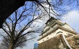 Osaka slott i Osaka, Japan foto