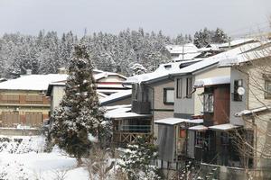 japanskt hus med snö foto