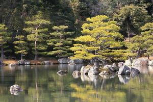 japansk trädgård vid berömda kinkakuji foto