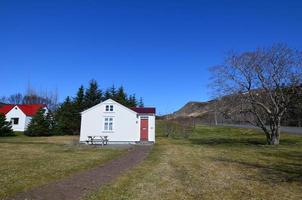 söta isländska hus i ett naturskönt landskap foto