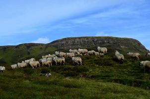 vackra sleat höglandet i isle of skye foto