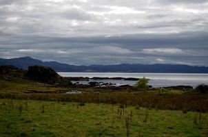 fantastiskt landskap med frodig vegetation i Armadale foto