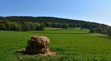 åker med hö för att mata djur i norra england foto