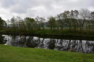 vattenväg med träd som reflekterar på våren foto