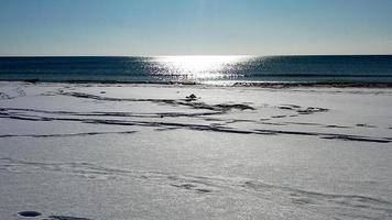 havslandskap med vinter snö strand foto