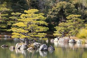 japansk trädgård vid berömda kinkakuji foto