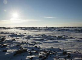 snödrivor på vintern foto