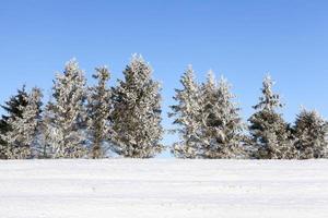 solljus före solnedgången foto