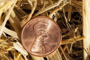 amerikanska mynt är cent foto