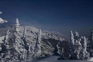 solig vintermorgon i bergen av sheregesh på skidspåret foto