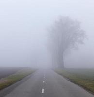 asfaltväg in i dimman foto