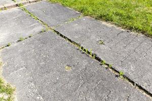 grönt gräs grodde genom armerade betongplattor foto