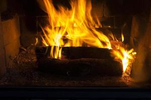 bränna stockar i elden på en grill eller spis eller öppen spis foto