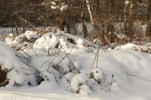 djupa drivor av mjuk snö under vintersäsongen foto