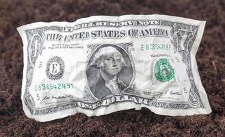 en skrynklig amerikansk dollar foto