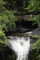 vattenfall i den stora skogen, vacker i naturen. foto