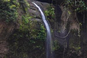 ett naturligt vattenfall i en stor skog mitt i vacker natur. foto