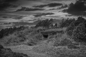 bunker i danmarks sanddyner tagen i svartvitt foto