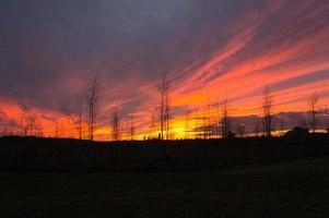 solnedgång med brinnande himmel bakom träden. foto