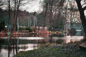 gryning en soluppgång på floden med dimma och varm ljus atmosfär. landskapsbild foto