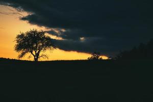 solnedgång i saarland med ett träd mot vilket en stege lutar. dramatisk himmel. foto