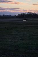 äng framför bodden i zingst vid kvällstimmen. landskapsfoto i naturen. foto