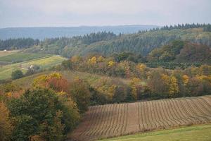 i saarland skogar, ängar och solitära träd i höst utseende. foto