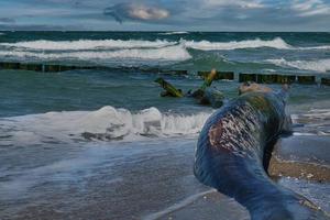 groynes som sträcker sig ut i Östersjön. dramatisk himmel. solmoln spelar. foto