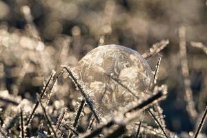 såpbubbla som det har bildats iskristaller på på grund av frosten. i ljuset av den nedgående solen. foto