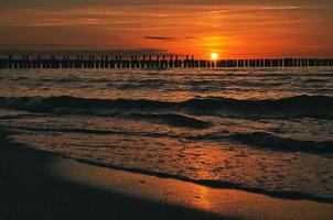 solnedgång i zingst vid havet. röd orange solen går ner vid horisonten. måsarna cirklar på himlen foto