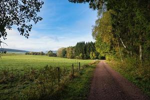 i saarland skogar, ängar och solitära träd i höst utseende. foto