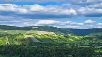 vingårdar i saarburg i saarland. utsikt över vingårdarna. foto