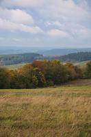 i saarland skogar, ängar och solitära träd i höst utseende. foto