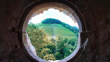 vingårdar i saarburg i saarland. utsikt över vingårdarna foto