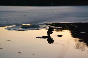 iskant på en sjö vid solnedgången. foto