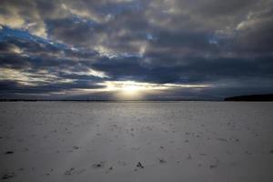 jordbruksfält, vinter foto