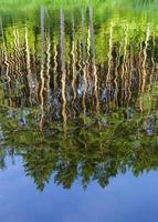 reflektion i vattnet foto