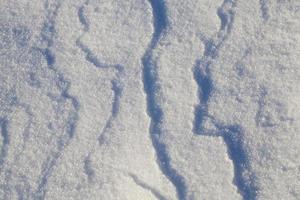 snödrivor på vintern foto