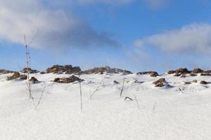 snö på vintern foto